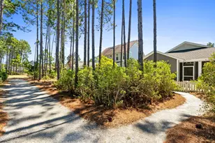 27 Somersault Lane, Inlet Beach, FL 32461 - Photo 37