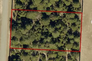 Tbd Farm Life Rd, Milton, FL 32583 - Photo 43