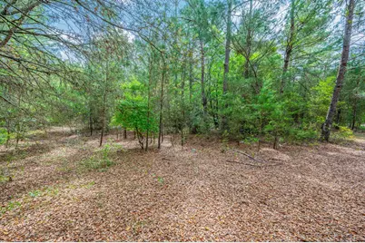 7765 S US Highway 331, Defuniak Springs, FL 32435 - Photo 15