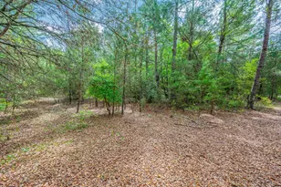 7765 S US Hwy 331, Defuniak Springs, FL 32435 - Photo 15