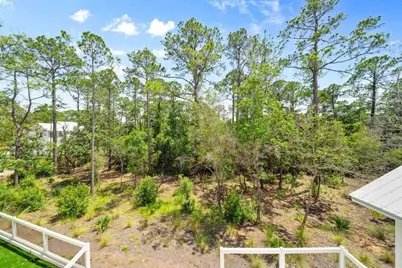 50 Saltwater Lane, Santa Rosa Beach, FL 32459 - Photo 61