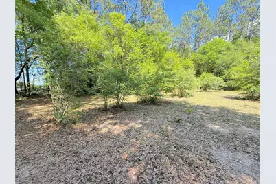 5981 Old Bethel Road, Crestview, FL 32536 - Photo 61