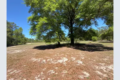 324 Goodwin Road, Defuniak Springs, FL 32435 - Photo 29