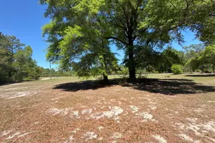 324 Goodwin Rd, Defuniak Springs, FL 32435 - Photo 29