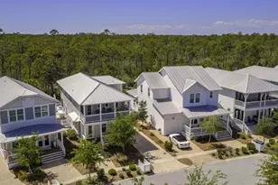 305 Flatwoods Forest Loop, Santa Rosa Beach, FL 32459 - Photo 53