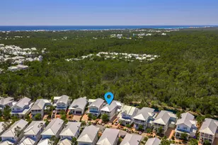 305 Flatwoods Forest Loop, Santa Rosa Beach, FL 32459 - Photo 69
