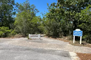 305 Flatwoods Forest Loop, Santa Rosa Beach, FL 32459 - Photo 75