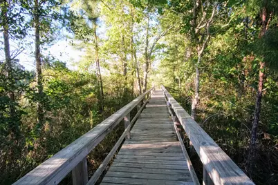 Lot 71 Harbour Trace, Freeport, FL 32439 - Photo 9