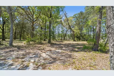 785 Old Ferry Road, Santa Rosa Beach, FL 32459 - Photo 51