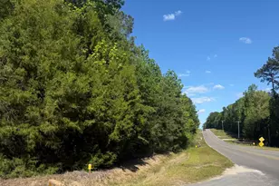 10 Acres Bob Sikes Rd, Defuniak Springs, FL 32435 - Photo 1