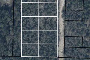 X NW Marianna Lake Ave, Fountain, FL 32438 - Photo 3