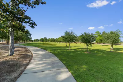 350 Bluebeech Street, Freeport, FL 32439 - Photo 41