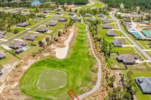 487 Coastal Breeze Dr, Freeport, FL 32439 - Photo 43