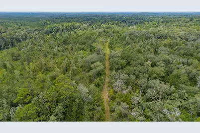 100 Acre Union Hill Road, Vernon, FL 32462 - Photo 17