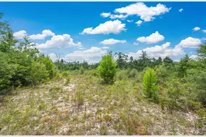 100 Acre Union Hill Road, Vernon, FL 32462 - Photo 9