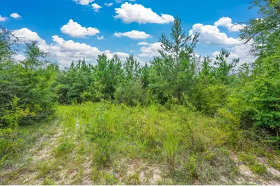 100 Acre Union Hill Road, Vernon, FL 32462 - Photo 13