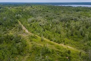 100 Acre Union Hill Rd, Vernon, FL 32462 - Photo 1