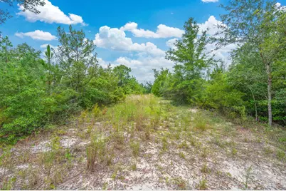 100 Acre Union Hill Road, Vernon, FL 32462 - Photo 7