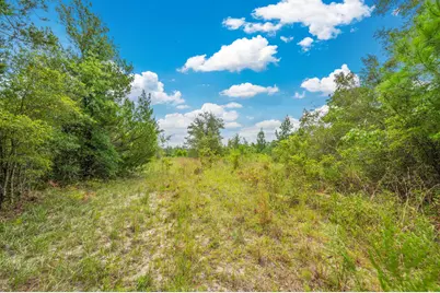 100 Acre Union Hill Road, Vernon, FL 32462 - Photo 11