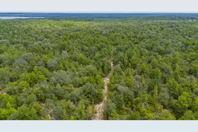 100 Acre Union Hill Road, Vernon, FL 32462 - Photo 15