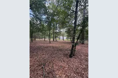 11226 N Lakeview Drive, Milton, FL 32583 - Photo 59