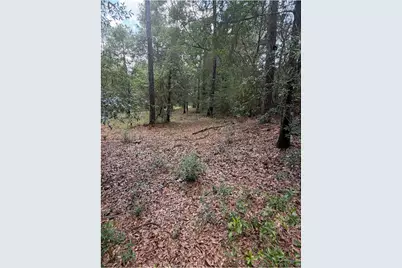 11226 N Lakeview Drive, Milton, FL 32583 - Photo 57