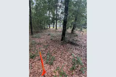 11226 N Lakeview Drive, Milton, FL 32583 - Photo 55