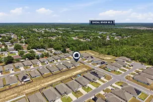 125 Blooming Cv, Crestview, FL 32539 - Photo 51