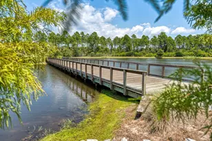233 Green Heron St, Watersound, FL 32461 - Photo 33