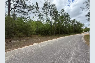 Lot 44B W Renoir Road, Defuniak Springs, FL 32433 - Photo 25