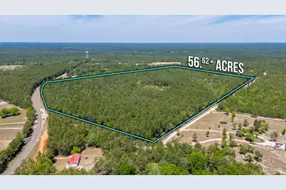 56 Acres Hinote Road, Defuniak Springs, FL 32433 - Photo 1