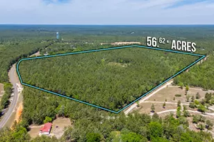 56 Acres Hinote Rd, Defuniak Springs, FL 32433 - Photo 1