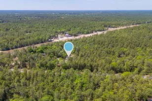 687 O'Sage Dr, Defuniak Springs, FL 32433 - Photo 13