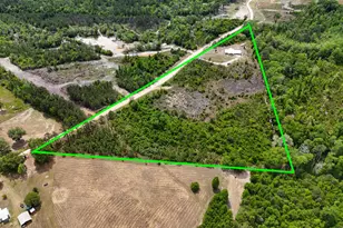 7514 Laird Rd, Florala, AL 36442 - Photo 39