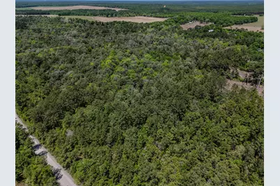 165 Acres Plantation Lane, Defuniak Springs, FL 32433 - Photo 9