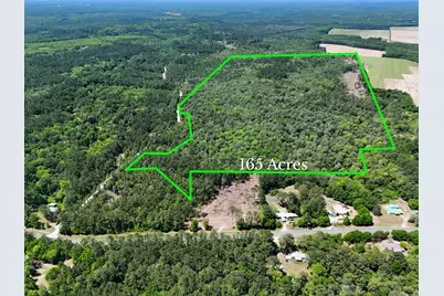 165 Acres Plantation Lane, Defuniak Springs, FL 32433 - Photo 1