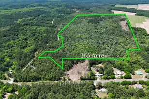 165 Acres Plantation Ln, Defuniak Springs, FL 32433 - Photo 1