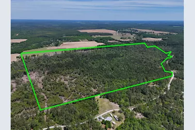 165 Acres Plantation Lane, Defuniak Springs, FL 32433 - Photo 3