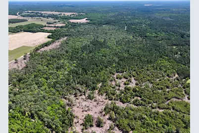 165 Acres Plantation Lane, Defuniak Springs, FL 32433 - Photo 7
