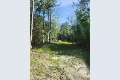 165 Acres Plantation Lane, Defuniak Springs, FL 32433 - Photo 11