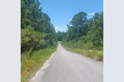 Lot 5 Pleasant Way, Defuniak Springs, FL 32435 - Photo 3