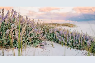 Lot 11 W Lupin Beach, Inlet Beach, FL 32461 - Photo 11