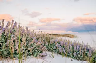 Lot 11 W Lupin Beach, Inlet Beach, FL 32461 - Photo 11