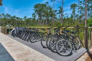 179 S County Hwy 393, Santa Rosa Beach, FL 32459 - Photo 19
