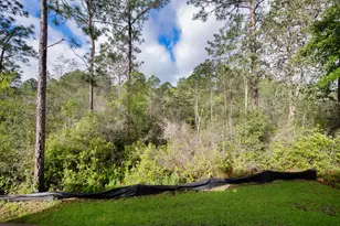 303 Key Lime Pl, Crestview, FL 32536 - Photo 41