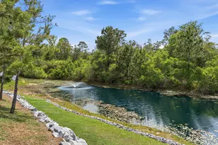 101 Hammock Oaks Blvd, Freeport, FL 32439 - Photo 45