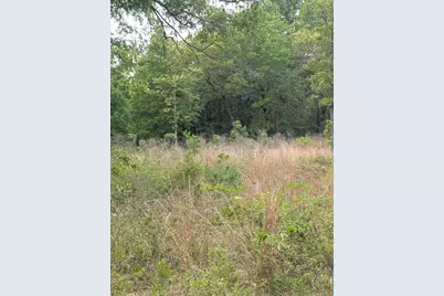 5751 County Highway 1087, Defuniak Springs, FL 32433 - Photo 3