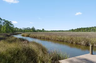 8 Cozy Cv, Freeport, FL 32439 - Photo 63