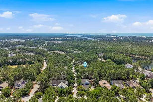309 Jack Knife Drive, Inlet Beach, FL 32461 - Photo 67