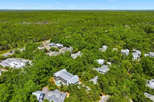 393 Wilderness Way, Santa Rosa Beach, FL 32459 - Photo 65